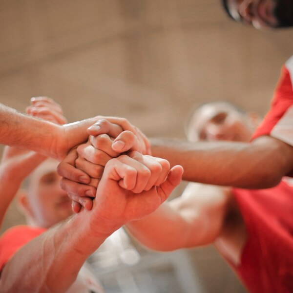 Web Development Service for Adult Sports Leagues, (US)
