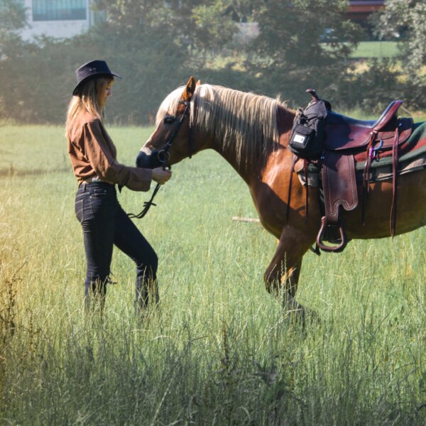 Web Development Service for Ranches, (US)